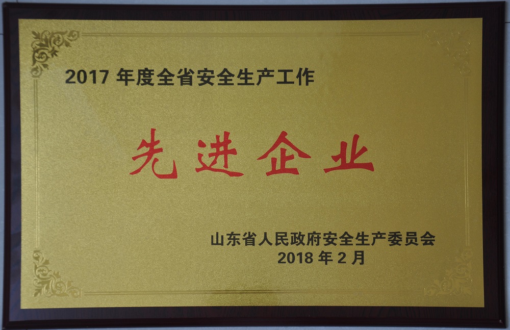 2017年度全省安全生產(chǎn)工作先進企業(yè)